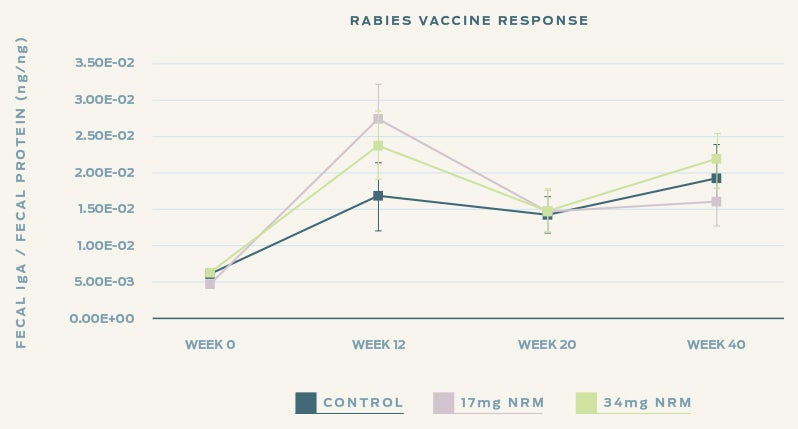 rabies-vaccine-response