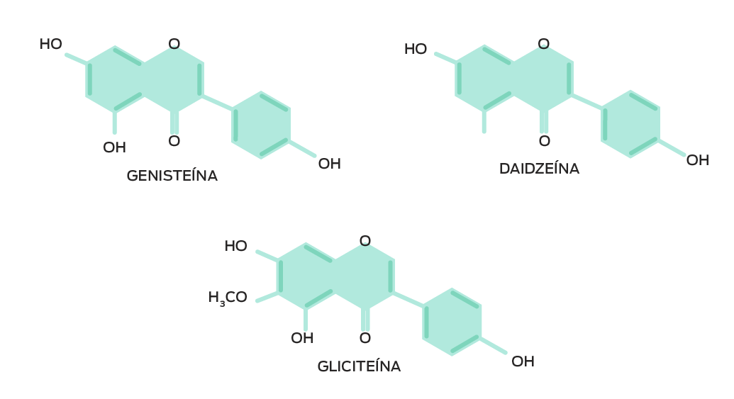 Composição química das isoflavonas de soja. Genisteína (C15H10O5), Daidzeína (C15H10O4), Gliciteína (C16H12O5)