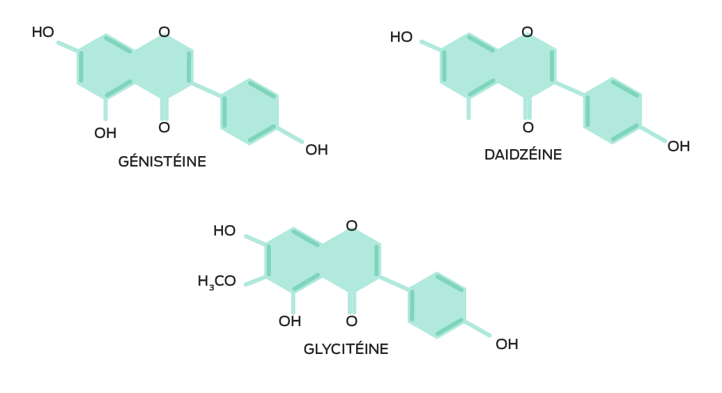 Composition chimique des isoflavones de soja. Génistéine (C15H10O5), daidzéine (C15H10O4), glycitéine (C16H12O5)