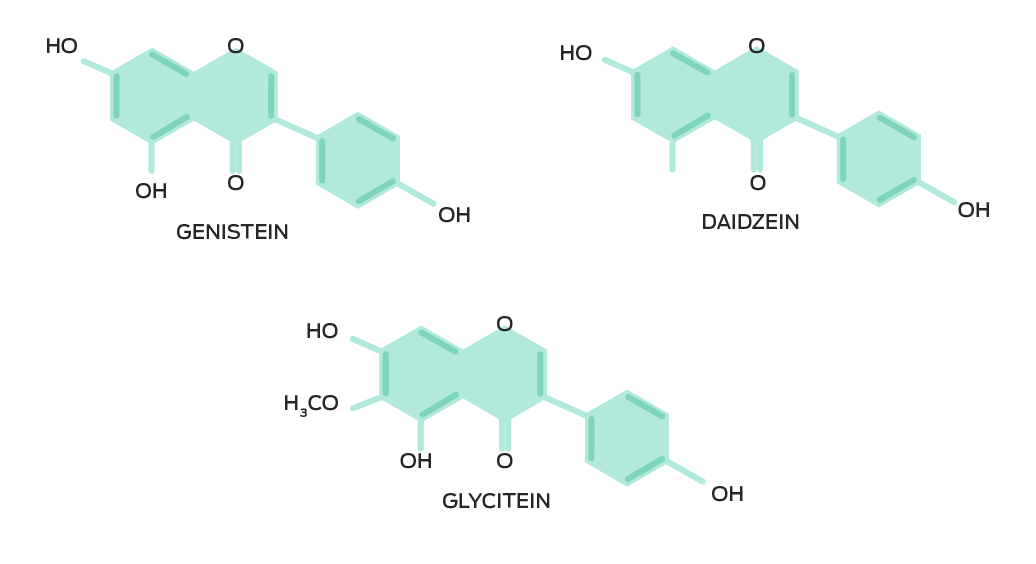 Chemische Zusammensetzung der Soja-Isoflavone. Genistein (C15H10O5), Daidzein (C15H10O4), Glycitein (C16H12O5)
