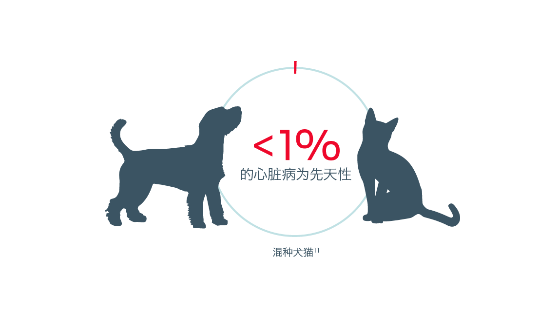 < 1% of heart disease is congenital in mixed breed dogs and cats
