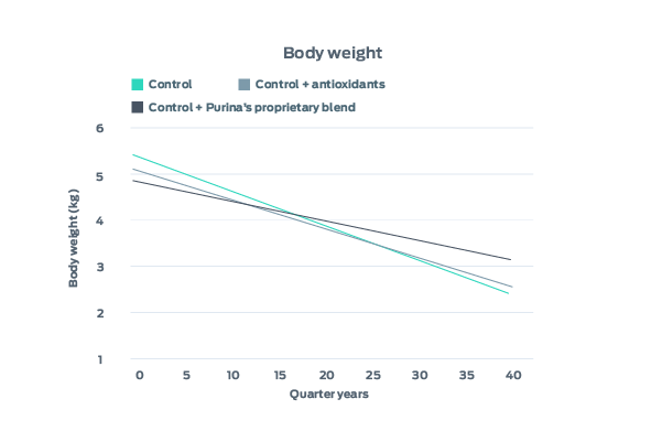 body weight graph
