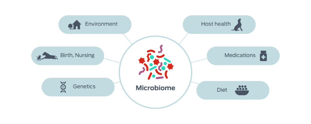 factors influencing the microbiomes icon