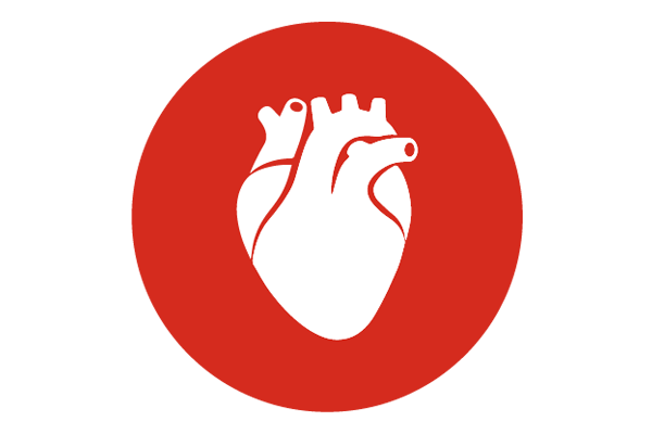 heart valve icon