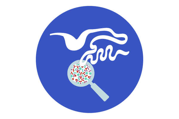 gut microbiome icon