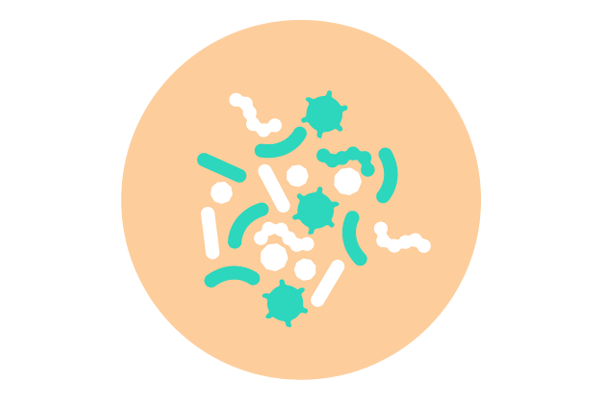 ícone de microbioma equilibrado