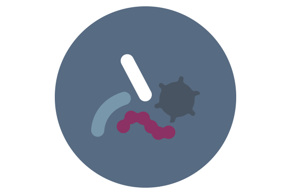 Gut microbiome interactions icon