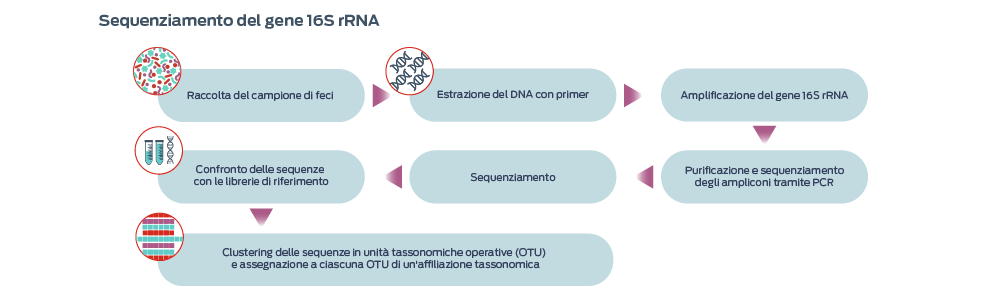 Sequenziamento del gene 16s rRNA