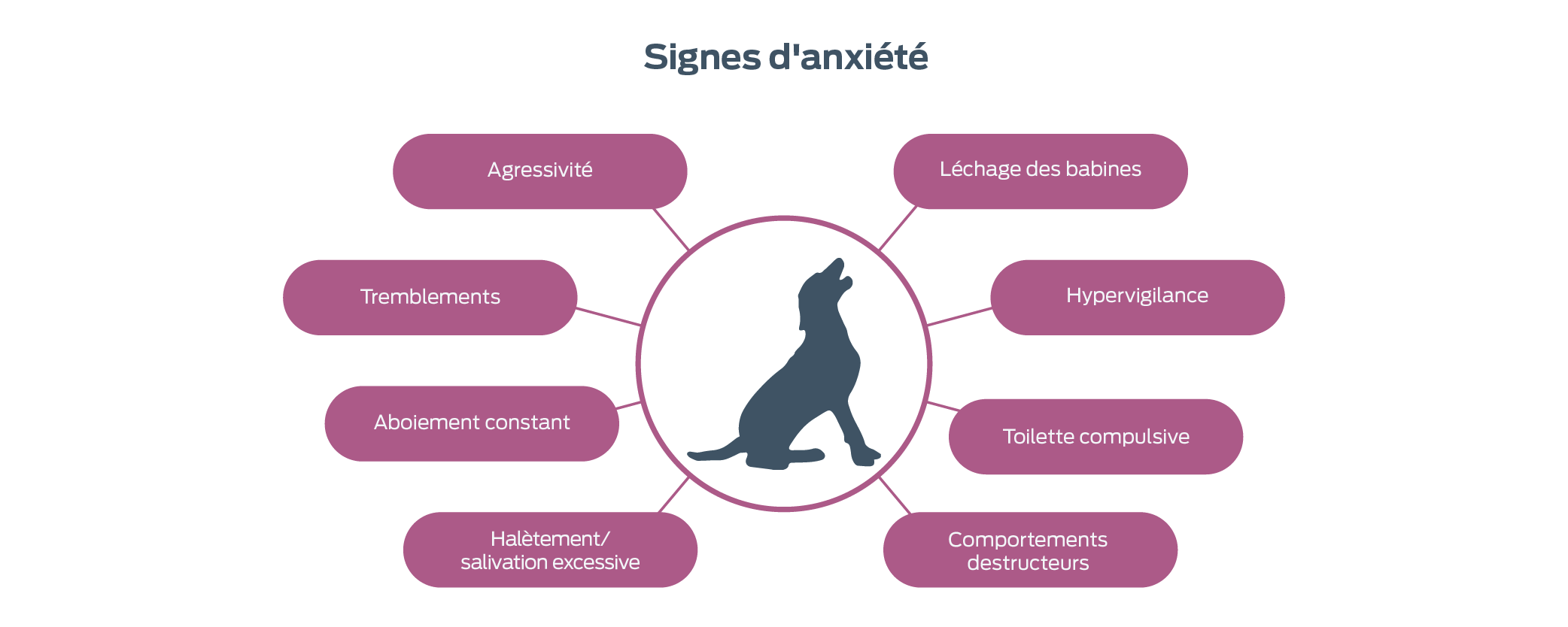 Signs of anxiety. Agression. Trembling. Persistent barking. Excessive panting/salivation. Lip smacking. Hyper-attentiveness. Compulsive grooming. Destructive behaviors.
