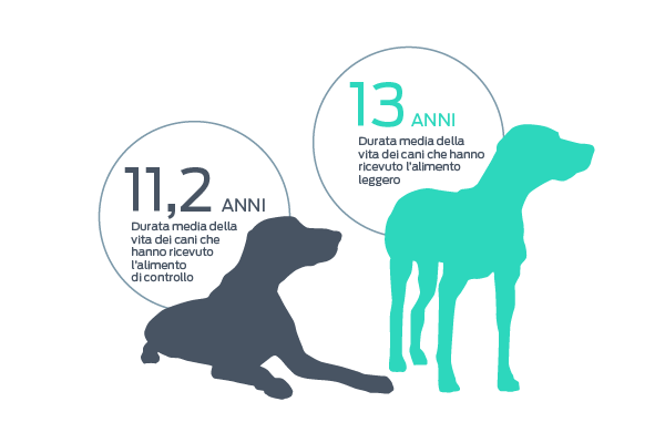 studio sul miglioramento del peso e della durata di vita dei cani
