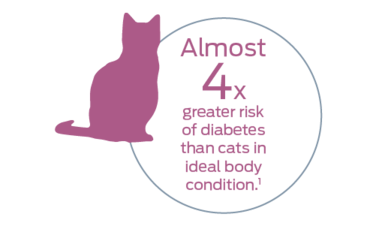 Almost 4x greater risk of diabetes than cats in ideal body condition.