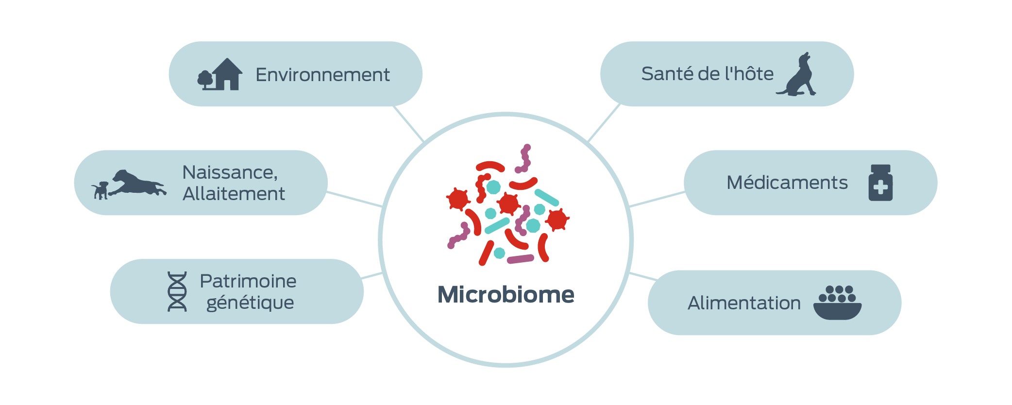 icône Facteurs influençant les microbiomes