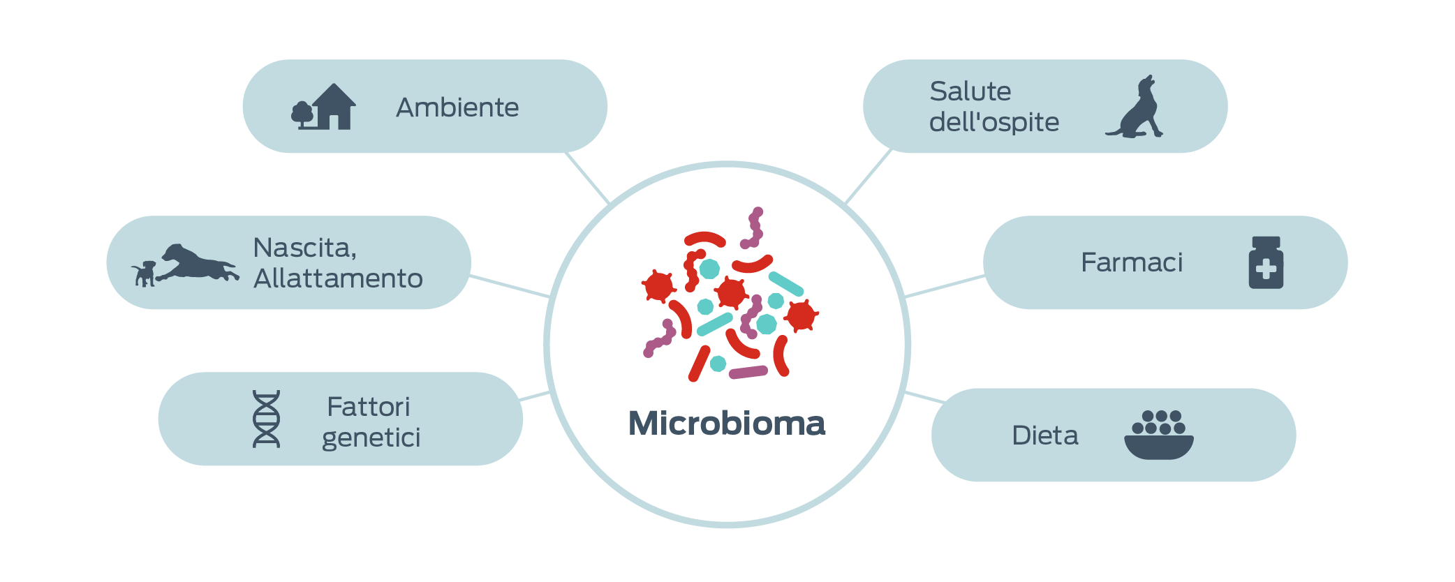 icona fattori che influenzano i microbiomi