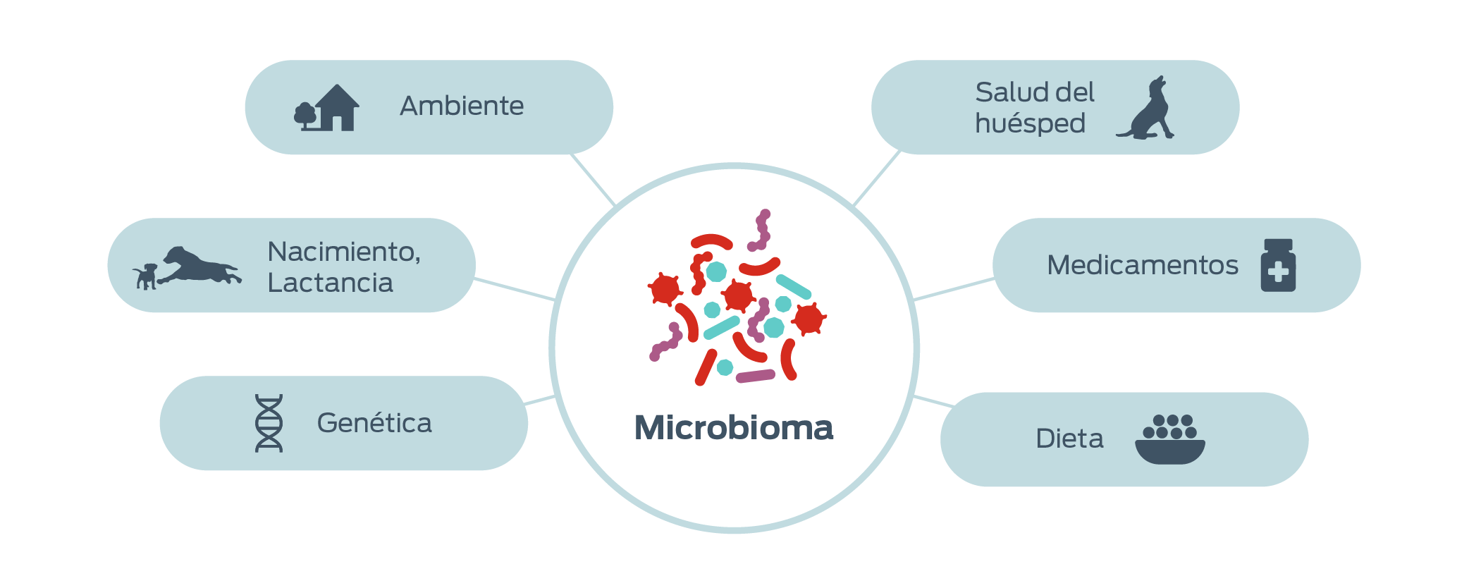 Microbioma. Genética. Nacimiento, lactancia. Ambiente. Salud del huésped. Medicamentos. Dieta