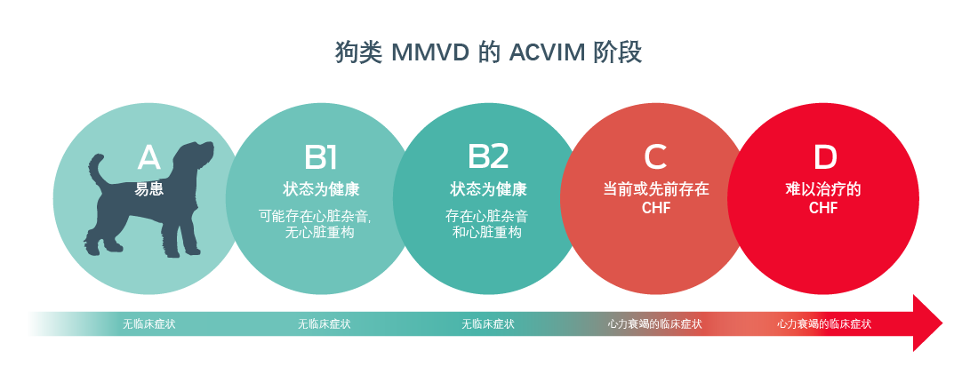 ACVIM 犬 MMVD 分期