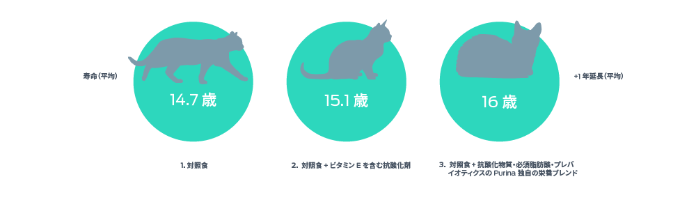 ネコの寿命を平均から+1年（平均値）まで、3段階で評価したものです。1. コントロール・・・14.7年 2. コントロール＋ビタミンEを含む抗酸化物質・・・15.1歳。3. コントロール＋抗酸化物質、必須脂肪酸、プロバイオティクスからなるピュリナ独自の栄養ブレンド - 16年。