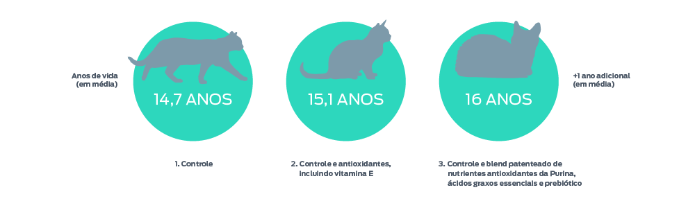 Uma escala de anos de vida felina, de média a +1 ano extra (em média), com 3 pontos na escala. 1. Controlo - 14,7 anos. 2. Controlo + antioxidantes, incluindo vitamina E - 15,1 anos. 3. Controlo + mistura de nutrientes patenteada da Purina de antioxidantes, ácidos gordos essenciais e um probiótico - 16 anos.