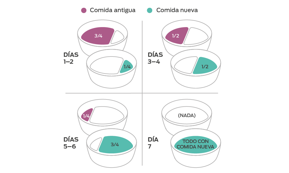 gráfico de cómo cambiar el alimento para gatos