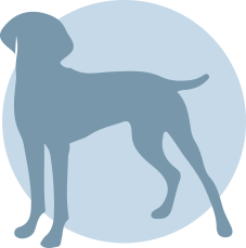 Grafik zu fettfreier Körpermasse und Proteinen bei Hunden