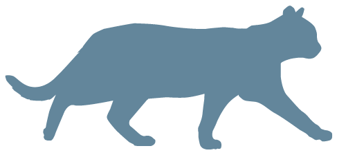 Grafik für fettfreie Körpermasse und Proteine ​​bei Katzen