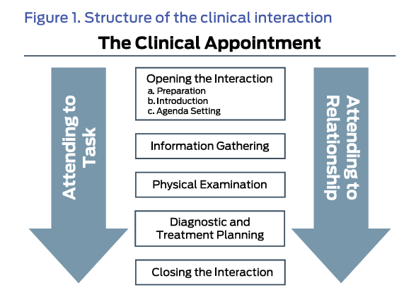 Figure 1. Structure of the clinical interaction