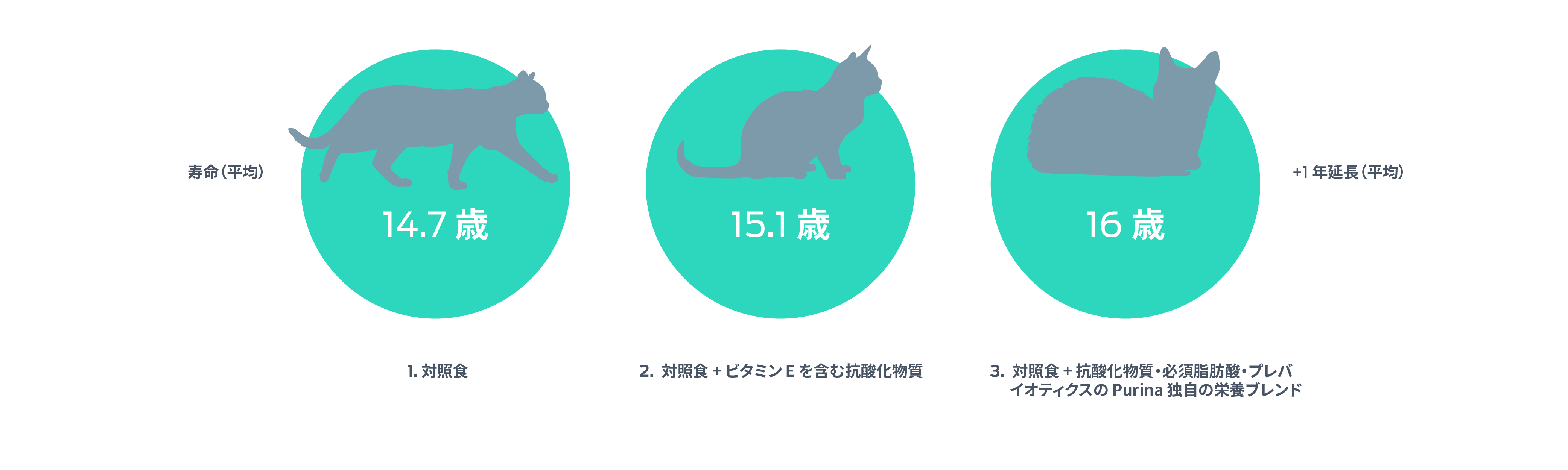 ネコの寿命を平均から+1年（平均値）まで、3段階で評価したものです。1. コントロール・・・14.7年 2. コントロール＋ビタミンEを含む抗酸化物質・・・15.1歳。3. コントロール＋抗酸化物質、必須脂肪酸、プロバイオティクスからなるピュリナ独自の栄養ブレンド - 16年。