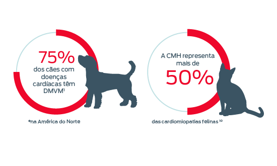 75% dos cães com doença cardíaca têm DMVM e a CMH representa mais de 50%