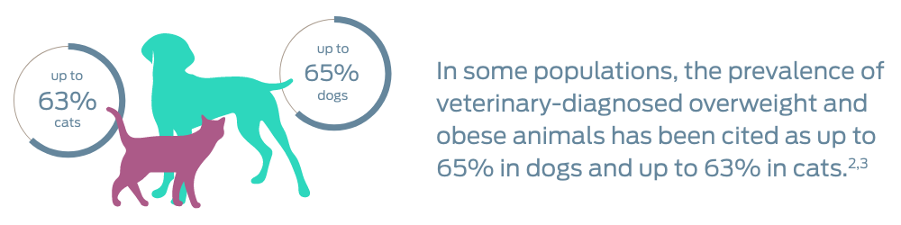 In some populations, the prevalence of veterinary-diagnosed overweight and obese animals has been cited as up to 65% in dogs and up to 63% in cats. Footnotes 2 and 3
