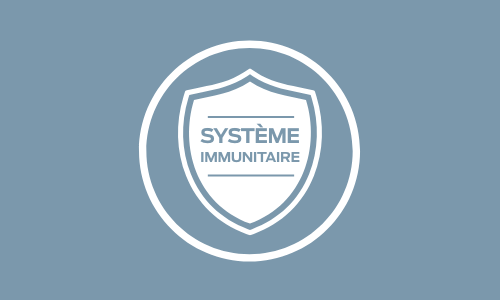 Système immunitaire