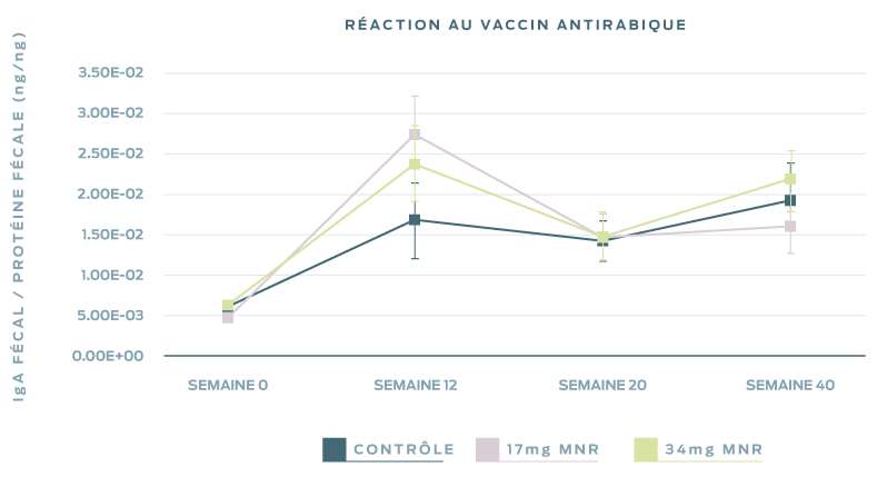 réponse-au-vaccin-antirabique