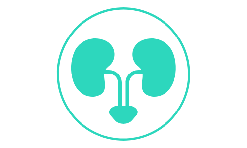 teal canine kidneys icon