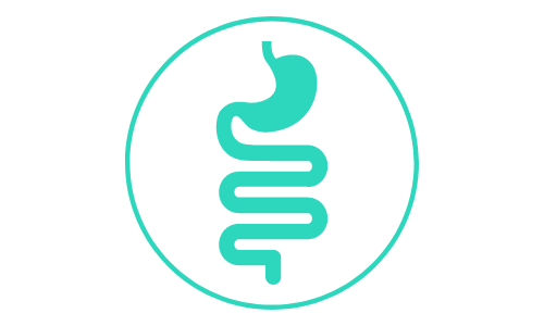 teal canine intestines icon