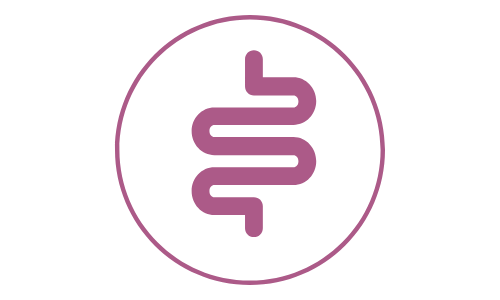 pictogramme de couleur violette illustrant les intestins des félins
