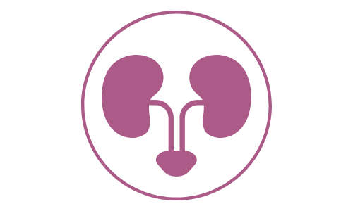 purple kidneys icon