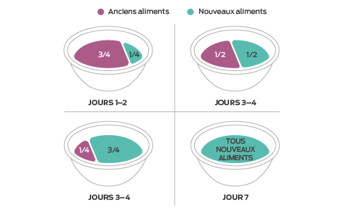 Un guide en quatre étapes pour passer d'une nourriture pour chien à une autre. Jours 1 et 2, 3/4 d'ancienne nourriture, 1/4 de nouvelle nourriture. Jours 3 et 4 : 50/50 entre l'ancienne et la nouvelle nourriture. Jours 5 et 6 : 1/4 d'ancienne nourriture, 3/4 de nouvelle nourriture. Jour 7 : 100% de nouvelle nourriture.
