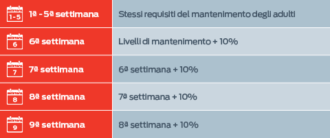 Dalla settimana 1 alla 5: stessi requisiti degli adulti per il mantenimento; Settimana 6: Livelli di mantenimento + 10%; Settimana 7: Settimana 6 + 10%; Settimana 8: Settimana 7 + 10%; Settimana 9: Settimana 8 + 10%