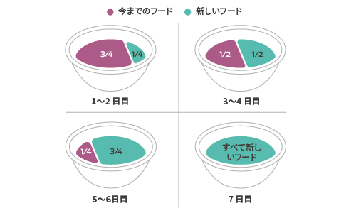 ドッグフードを別のものに切り替える4つのステップをご紹介します。1日目と2日目は、古いフードを3/4、新しいフードを1/4。3日目と4日目、古いフードと新しいフードを半々で与える。5日目、6日目、古いフードと新しいフードを1/4ずつ。7日目、新しいフードを100%使用。
