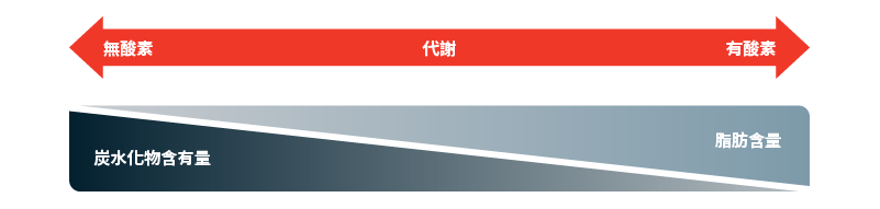 嫌気性から好気性までの代謝の尺度のこと。嫌気性であればあるほど炭水化物を多く燃焼し、好気性であればあるほど脂肪分を多く燃焼することができます。このグラフの中点は、50/50の割合になっています。