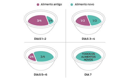 Um guia de quatro passos para passar de um alimento para cão para outro. Dias 1 e 2, 3/4 de comida velha, 1/4 de comida nova. Dias 3 e 4, 50/50 comida velha e comida nova. Dias 5 e 6, 1/4 de comida velha, 3/4 de comida nova. Dia 7, 100% comida nova.