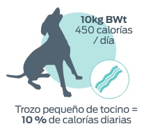 10kg BWt 450 calorias / dia