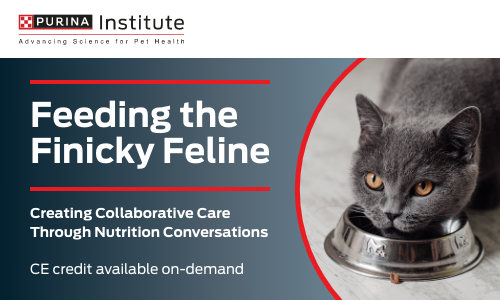 feeding-the-finicky-feline