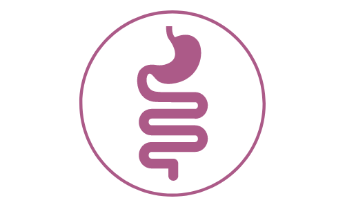 feline stomach intestine icon