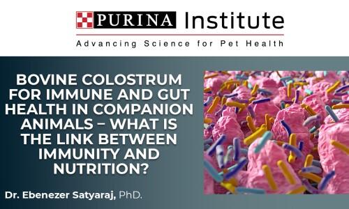 Bovine Colostrum for immune and gut health in companion animals - What is the link between Immunity and Nutrition