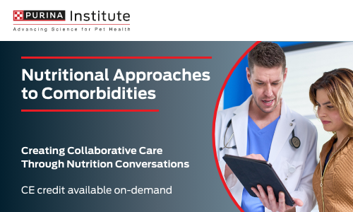 Nutritional Approaches to Comorbidities