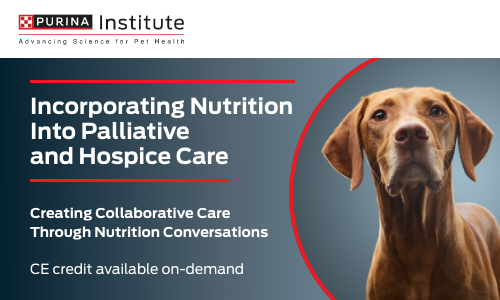 Incorporating Nutrition Into Palliative and Hospice Care 