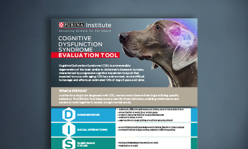 DISHAA evaluation tool