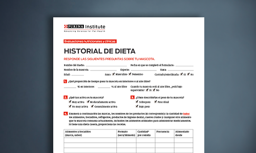 diet history form