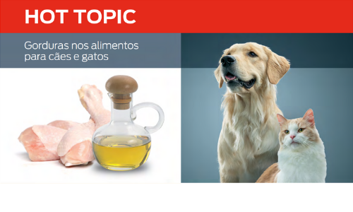 hot topics fats in pet food 