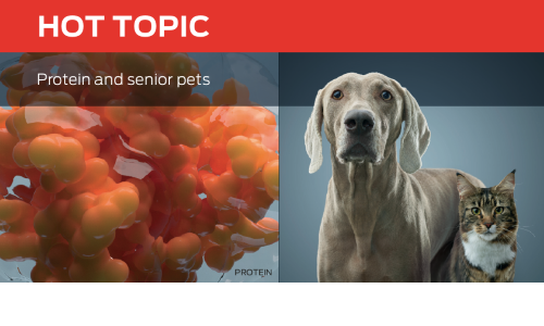 hot topic protein and senior pets