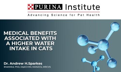 Medical benefits associated with a higher water intake in cats -para OK final